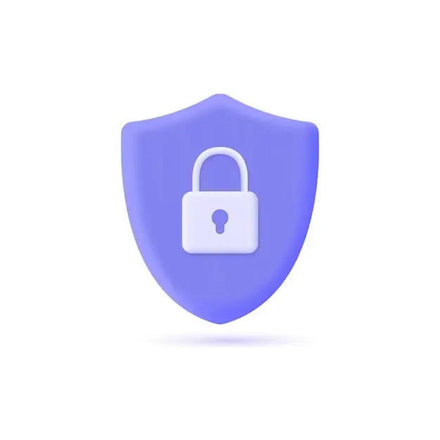 Secure Your Privacy icon