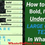 How to send Bold, Underline and Strikethrough text on WhatsApp