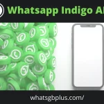 Download WhatsApp Indigo APK Latest Official Version 2021 (Updated)