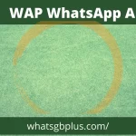 Download WAP WhatsApp Latest Version for Android [Official] 2022